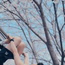 스파레이 이미지