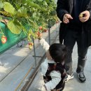 휴거리농장 이미지