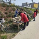 도량동 행정복지센터 네이버블로그