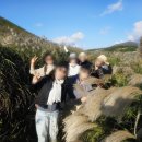 제주기사 | 항공 숙소 차량 완벽했던 제주여행 기사 포함 솔직 후기