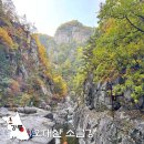 매봉약수 | 강릉 오대산 소금강 계곡 트레킹 코스 난이도 소요시간