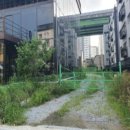 의료법인 새생명의료재단 이미지