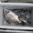 일박이일 B 이미지