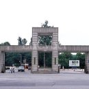 차군식당 이미지
