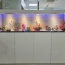 부산노인전문제4병원 이미지