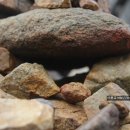 골덴세탁소 이미지