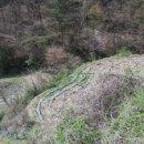 증약초교 대정분교 이미지