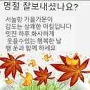 네잎클로버의 메아리 이미지