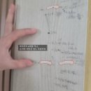 정관장홍삼어방점(신) | 키크는영양제 내돈내산 6개월복용 변화 정관장 아이키커하이