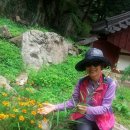 가조고견사 이미지