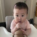 호박단지 이미지