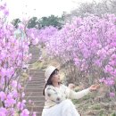 연지못 Daum카페