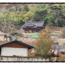 광주김씨열녀정려 이미지