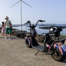 푸른신창 이미지