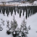 더 빌리지 펜션 이미지