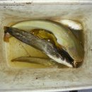 교동보건지소 이미지