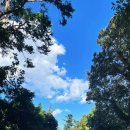 수시로10번길 이미지