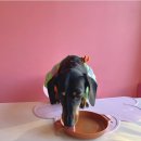 (주)신세계백화점 센텀시티몰 | [부산/센텀시티] 신세계백화점센텀시티몰 쿠키가 맛있는 소품샵 카페추천 그로서리스터프 센텀점