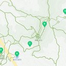 신장소류지 이미지