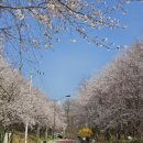 정발산공원 화장실-2 이미지