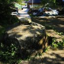 자라마을 이미지