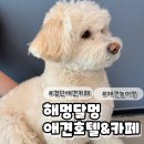 해멍달멍 이미지