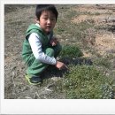 찬우농장 이미지