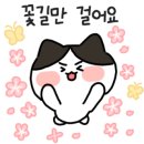 미소약국 이미지