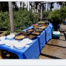 시대농장 이미지