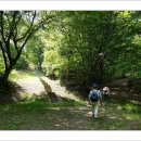 김주신선생묘 이미지