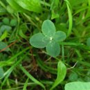 글로벌주유소 이미지