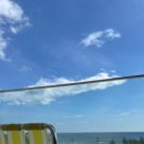 일도노스테이 이미지