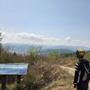 biking tour 편백5종 set 이미지