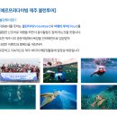메르프리다이빙제주센터