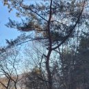 더드림팜 이미지