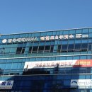 한국체대 키즈 태권도 이미지