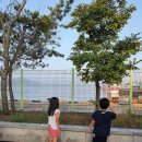 오늘도제주 이미지