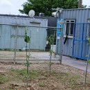 대장천생태습지 공원화장실 이미지