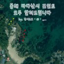 천곡방파제 | 동해·삼척 봄낚시 포인트 4곳 총정리! 현지인이 알려준 가자미 명당까지 털어드림