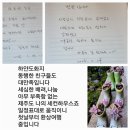 하얀민박 | 제주도숙소 오션뷰 하얀도화지민박