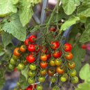 달서유치원 이미지