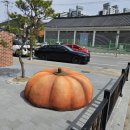 영월로 이미지