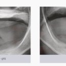 삼성치과의원 이미지