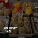 공간유희 | 강릉 강문해변 소품샵 추천 모음집! 강문상점, 강문모퉁이, 유리알유희 방문 후기