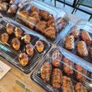 동백이 | 제주 애월 카페 이끼숲소길 산책하기 좋은 동백꽃 카페