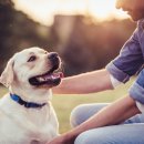 더파크동물의료센터 이미지