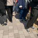 먹거리천국 | 논산 딸기 축제 후기🍓 웨이팅 지옥인데 딸기 먹거리 천국 솔직 리뷰