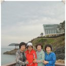 고수초등학교 이미지