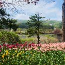 설봉공원 이미지