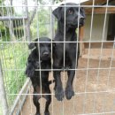 까미농장 이미지